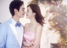 爱情资料,探寻情感世界的奥秘与共鸣