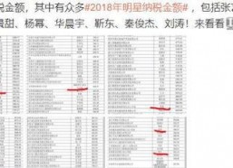 明星交多少税,交税金额背后的真相与影响