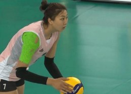 中国排球明星,中国排球明星的辉煌历程